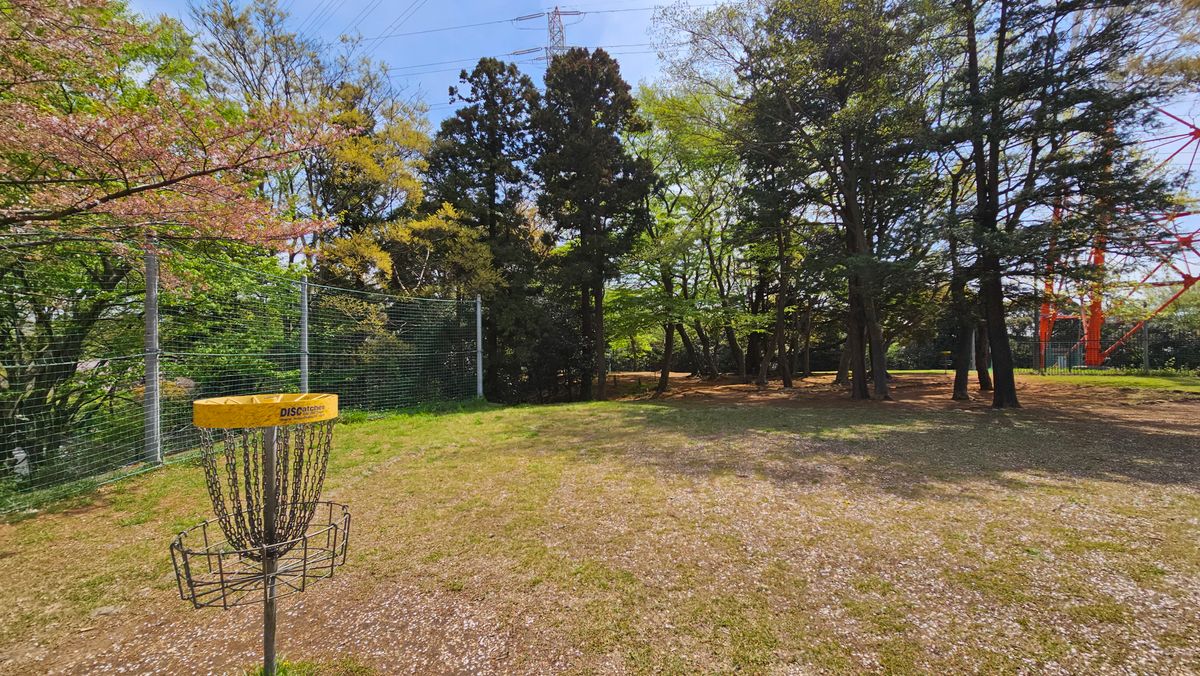 Basket 9 looking towards tee pad