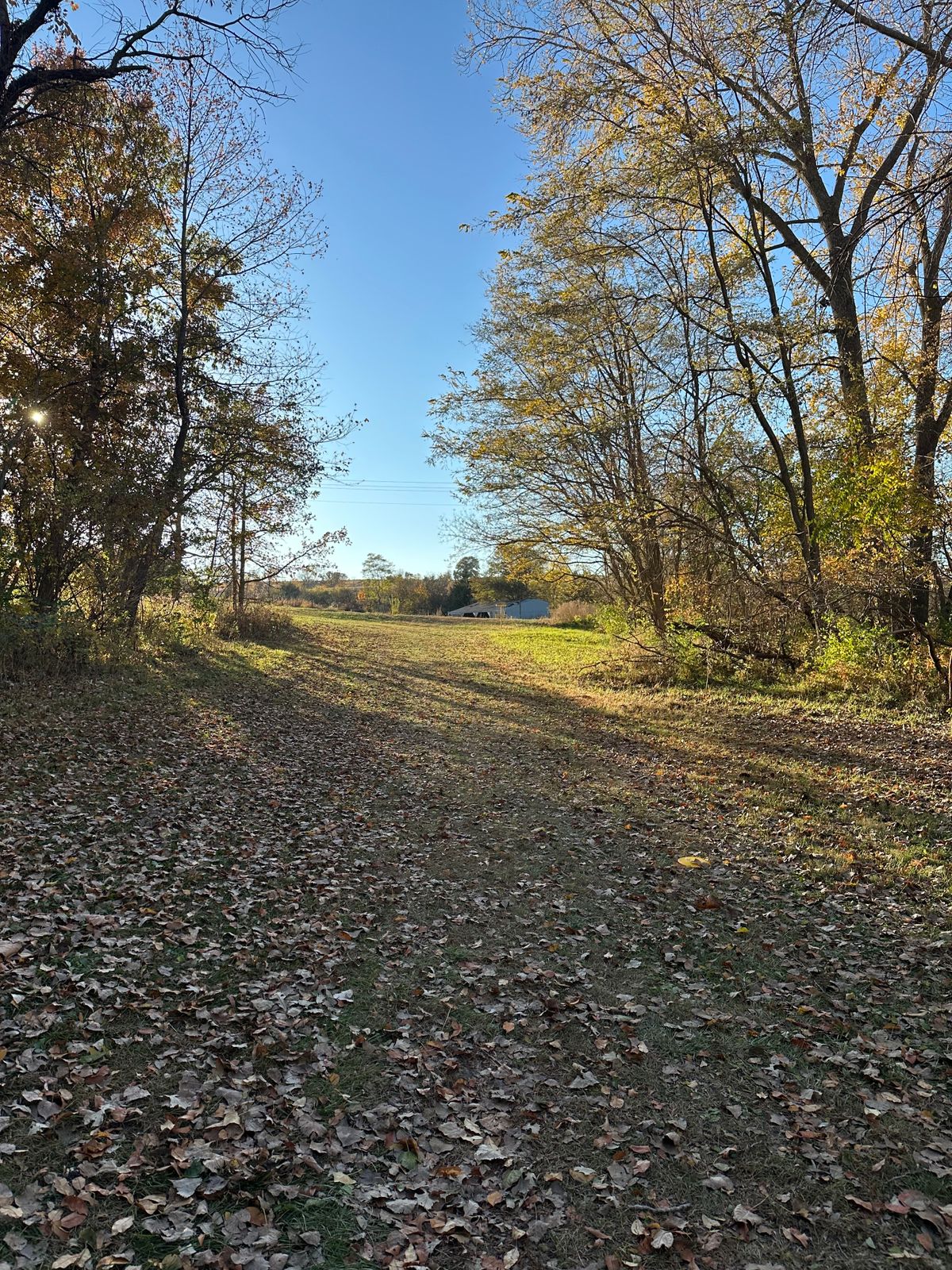 Hole 8 fairway