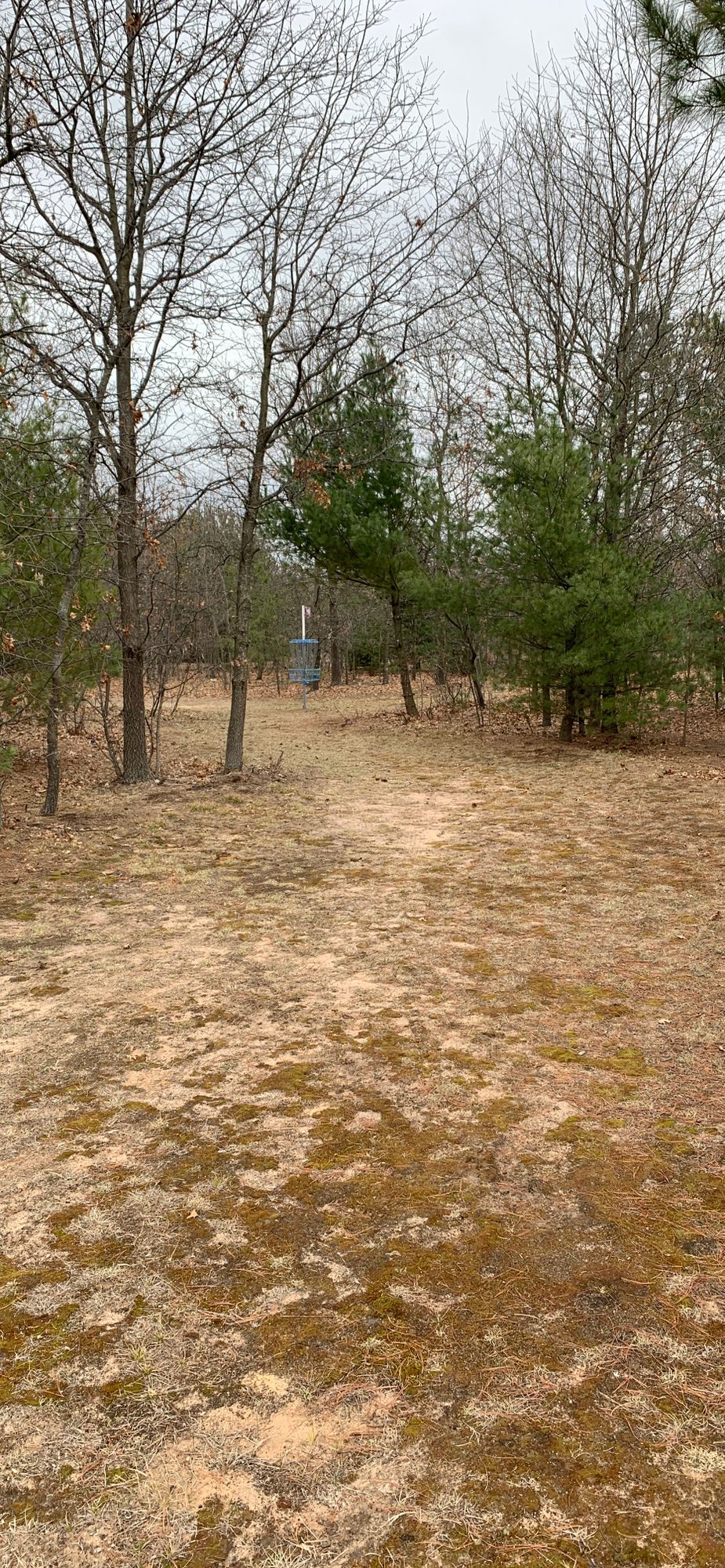 Hole 5 approach