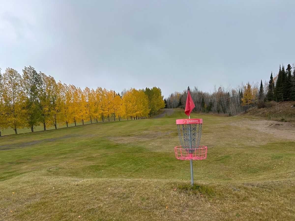 Hole 6 basket looking back towards tee