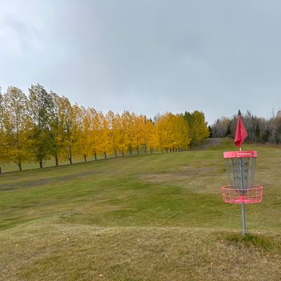 Hole 6 basket looking back towards tee