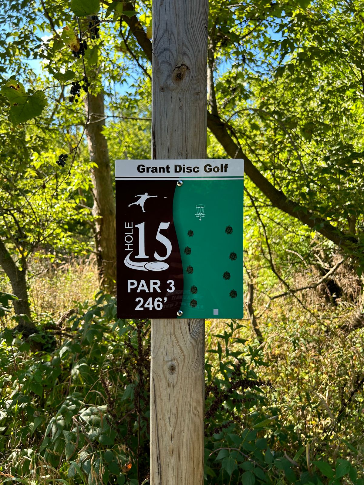 Hole 15
