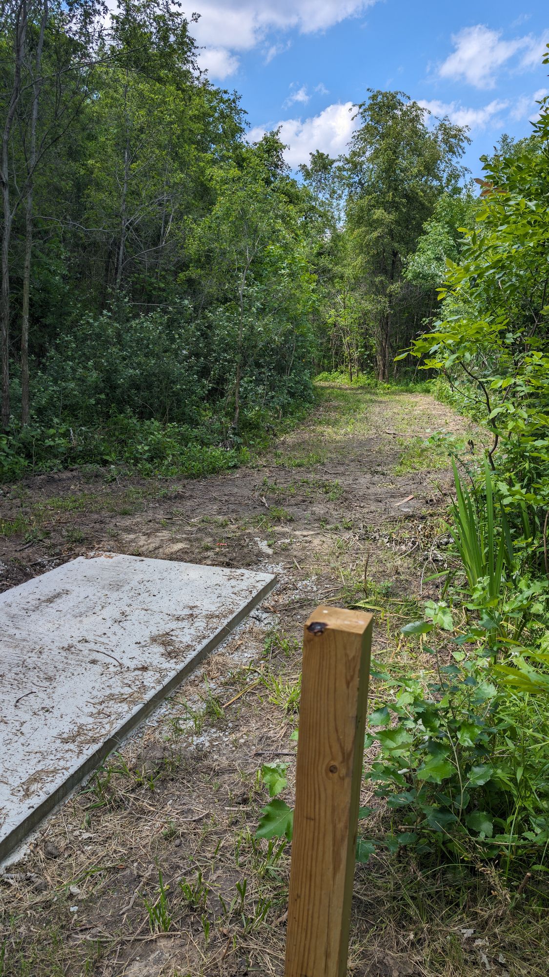 7 Tee, facing baskets, tight fairway