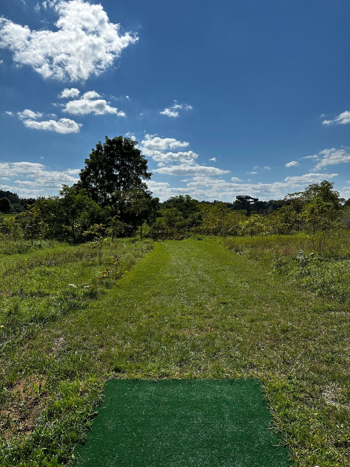 Hole 16 pad