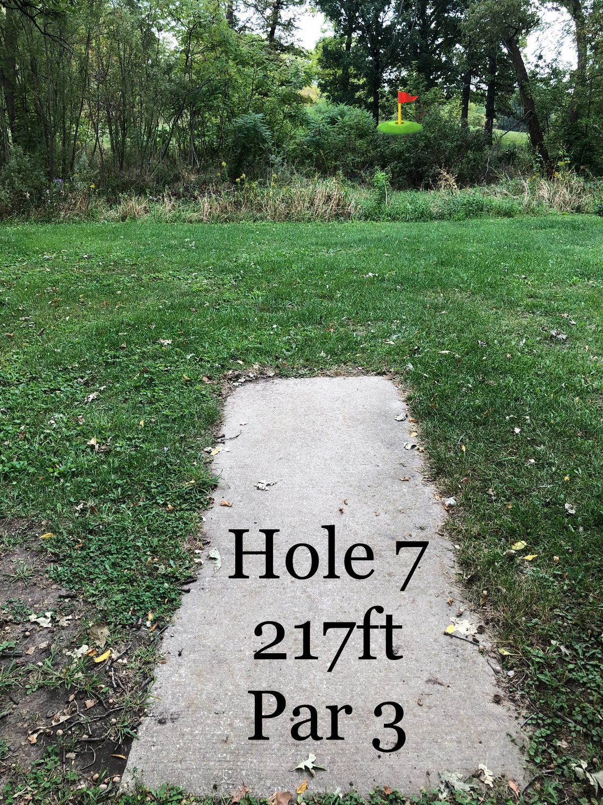 Look from hole 7 tee. Large bit of brush between tee and pin. Can go over or around to the left.