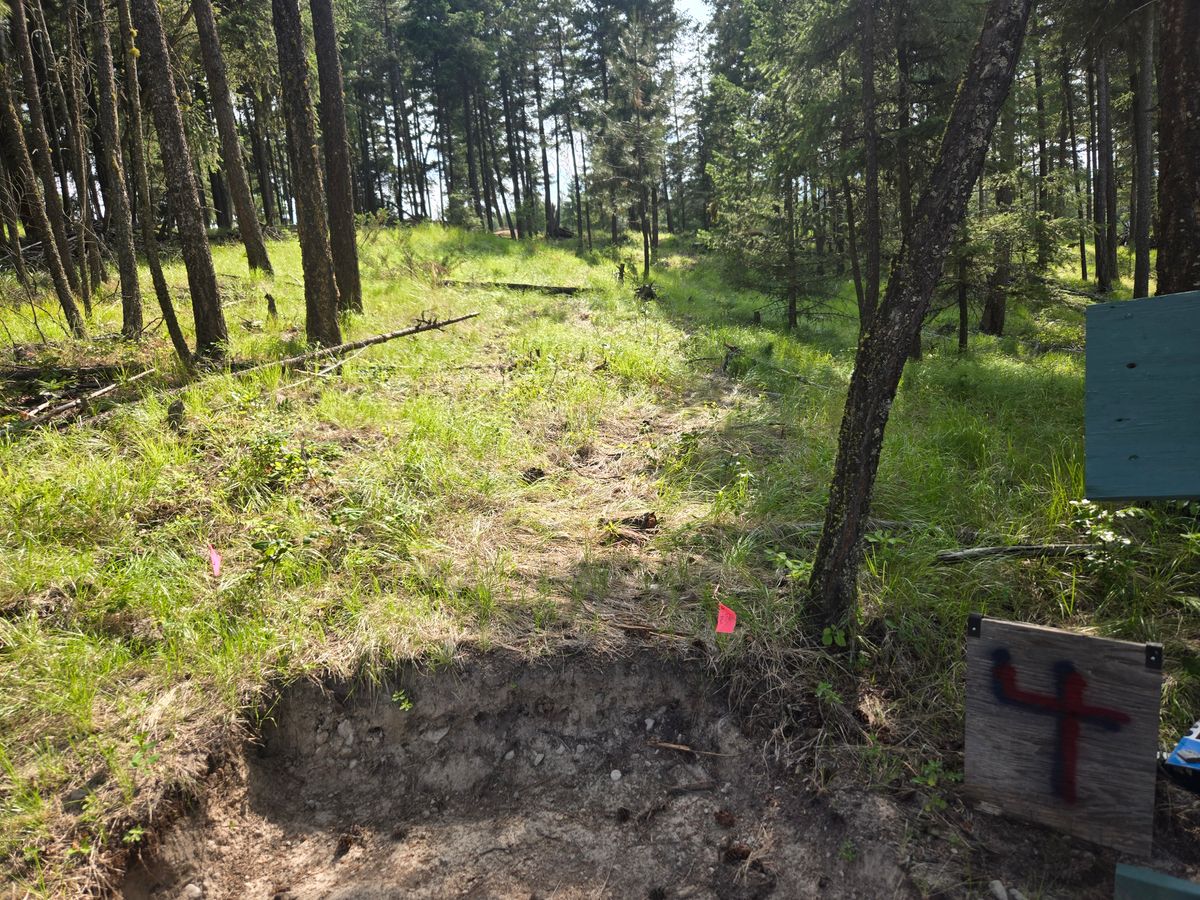 4 Tee pad
