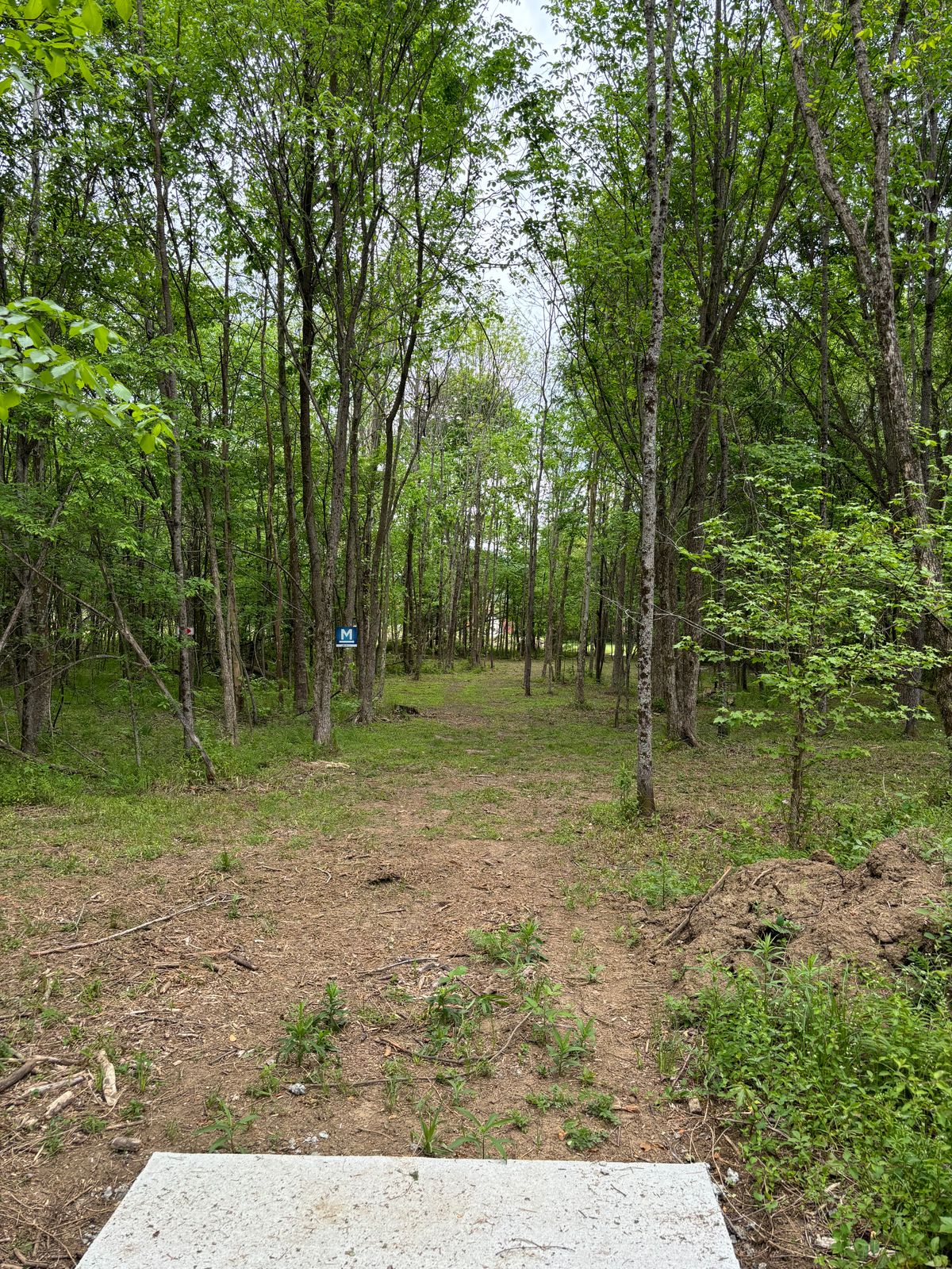 Hole 4