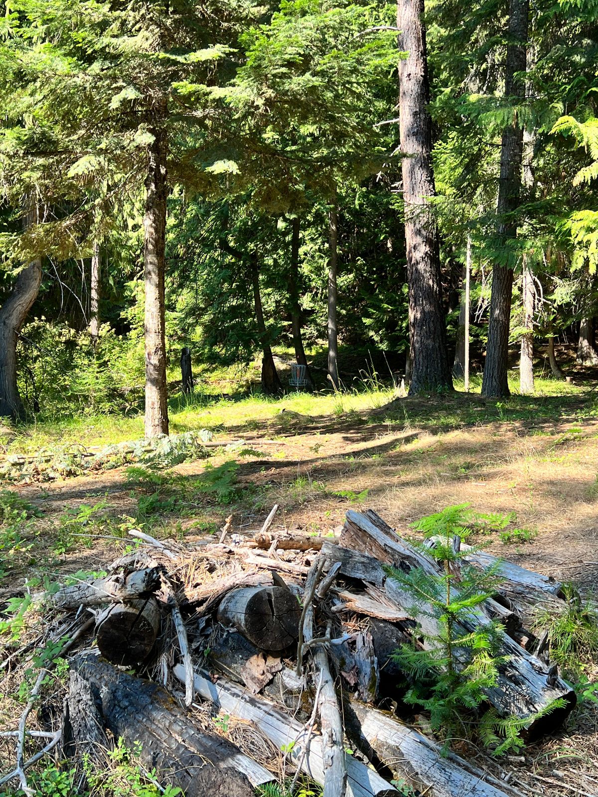 Hole 11