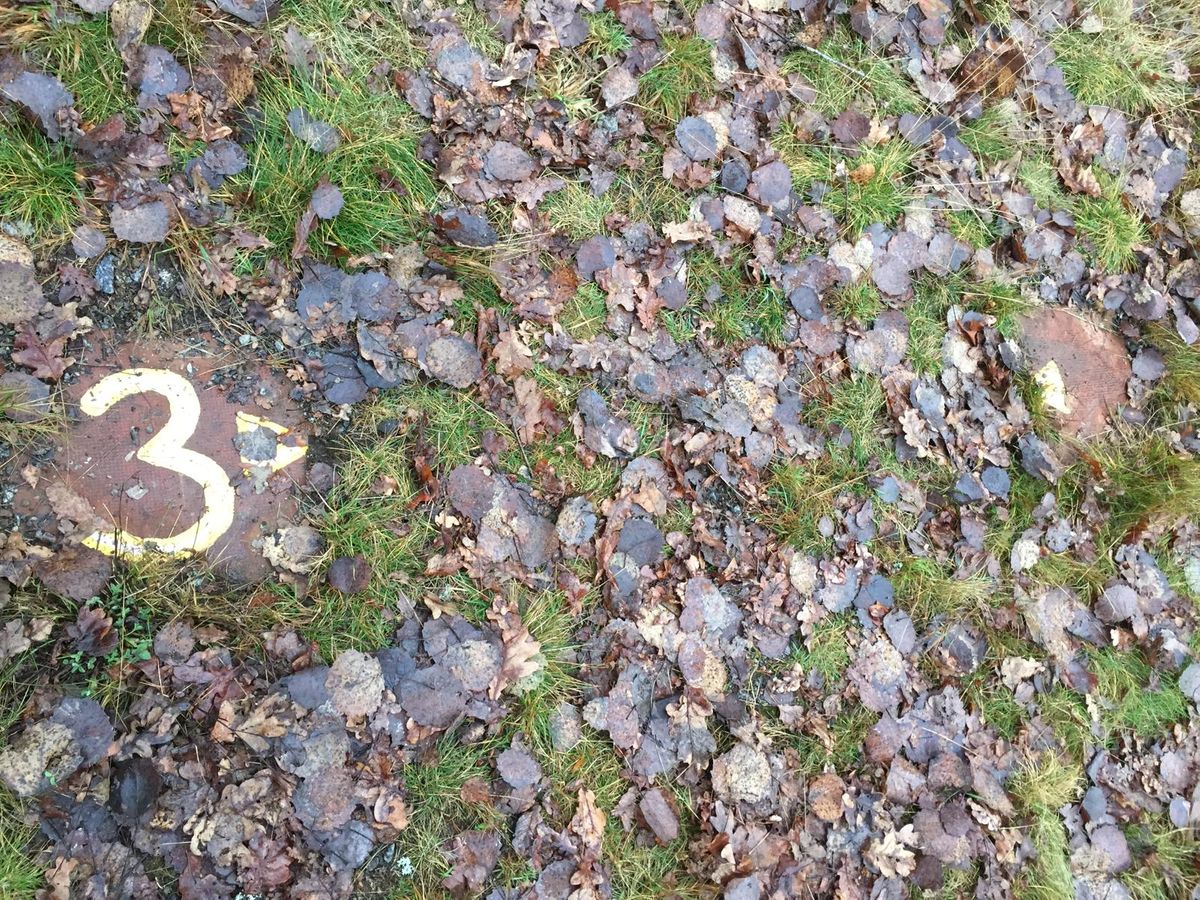 Exempel på utkast