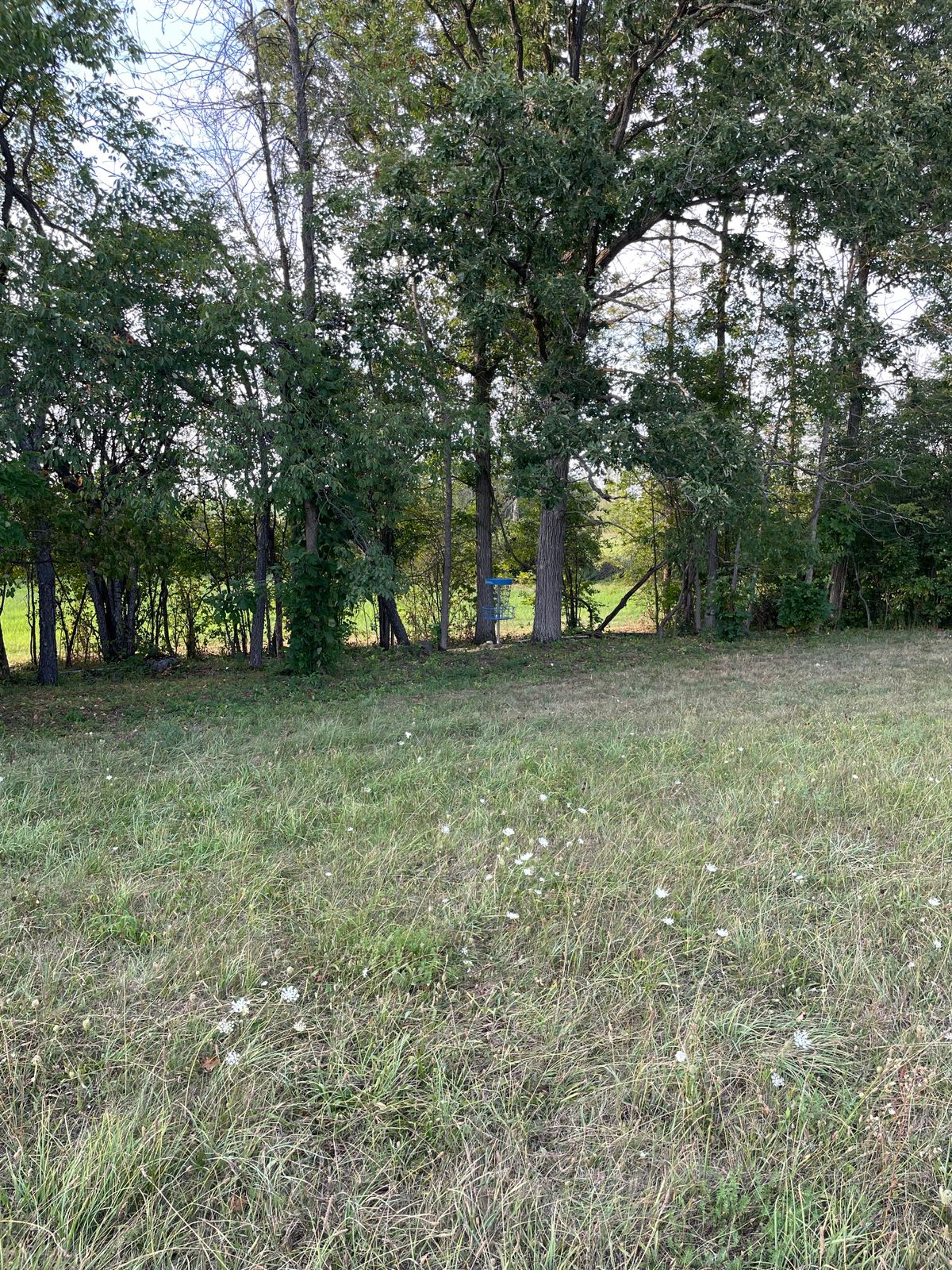 Left side of the fairway on #2