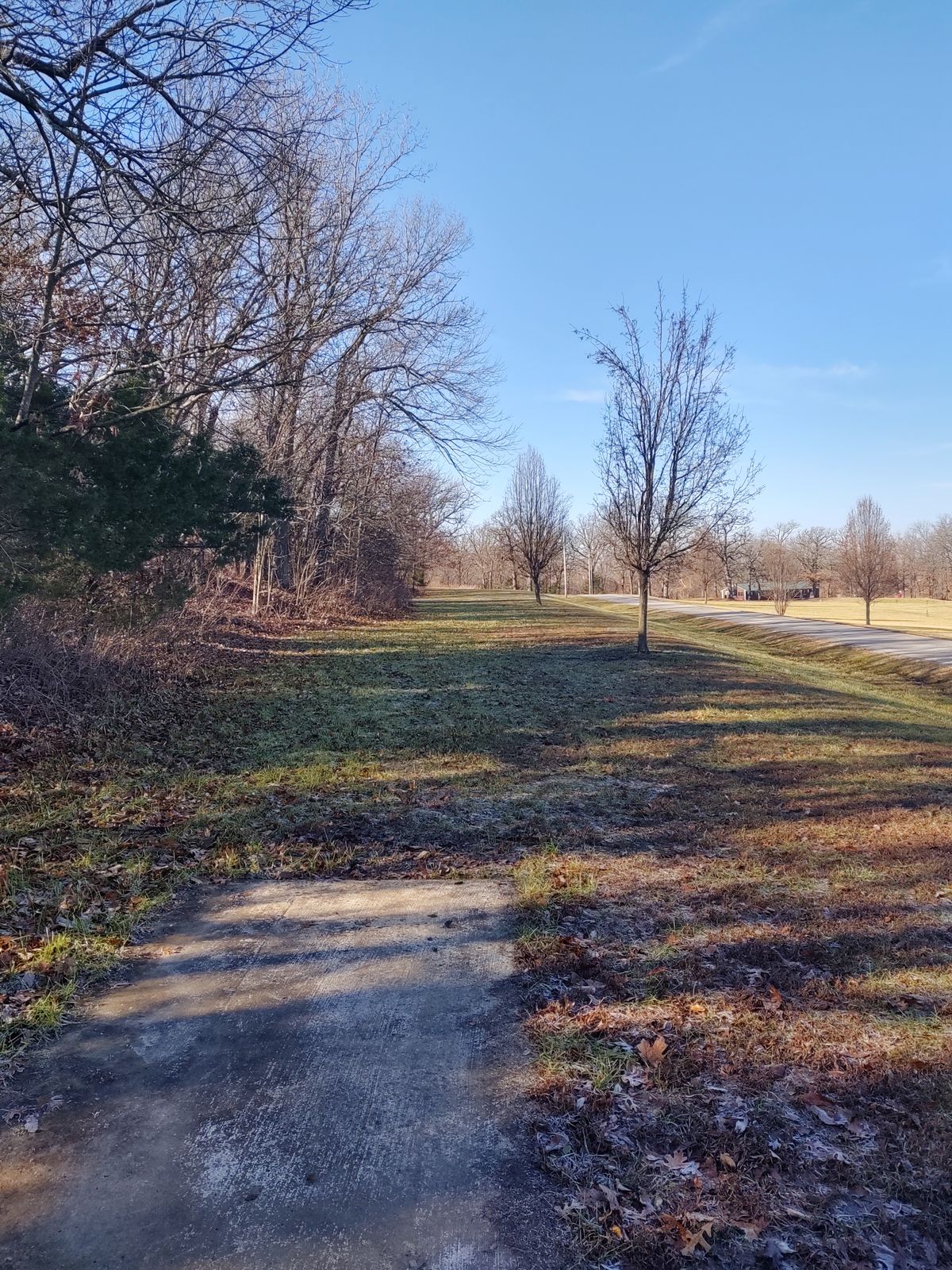 Hole 14 tee