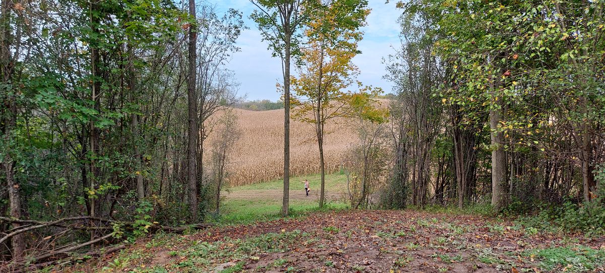 Hole 2 short placement throw basket to the left. 🌳 🌽 🍂 🌽 🍁 🌽 🌳
