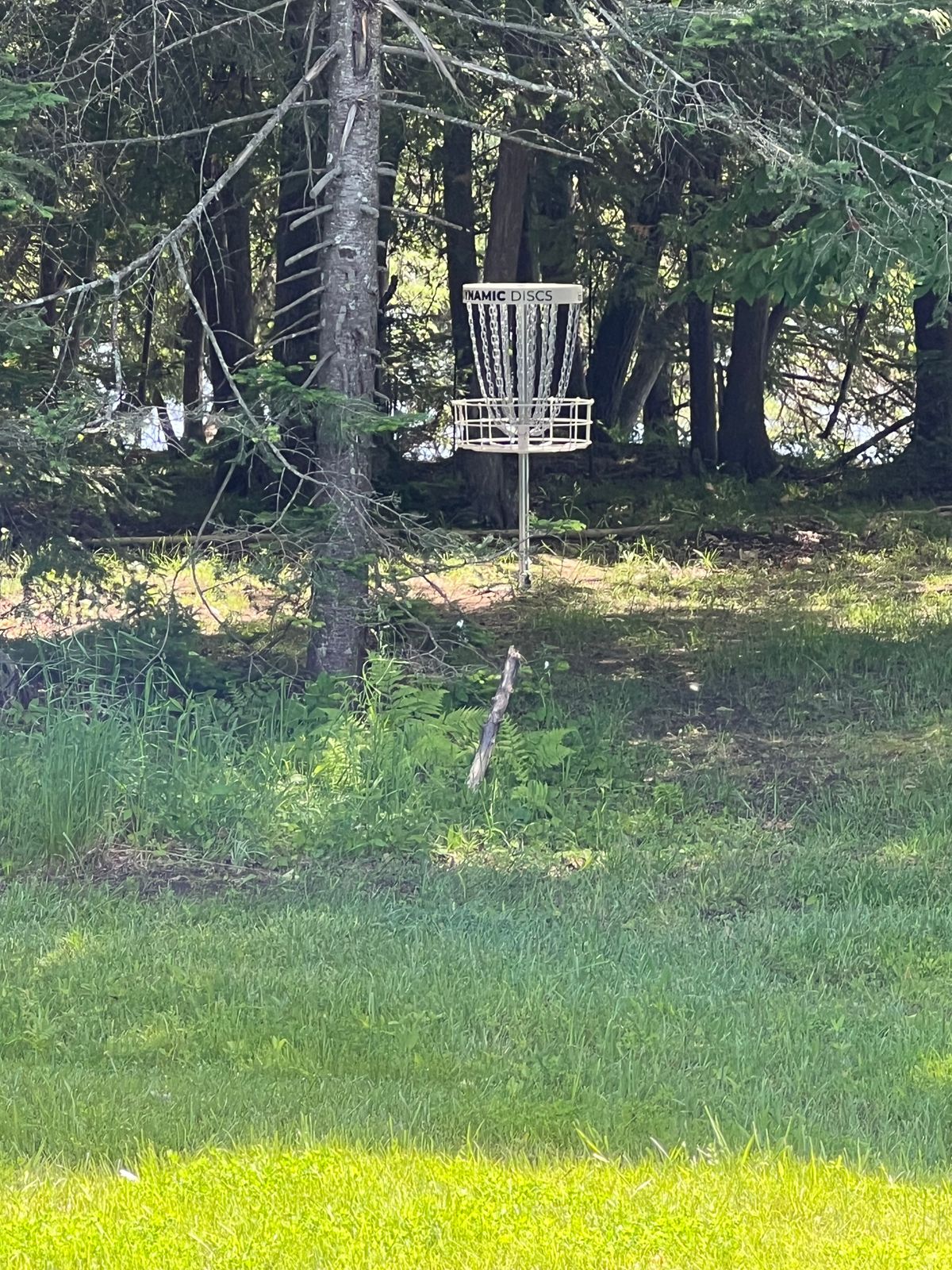 Basket 7 (16) - tucked into the woods by the river. 
7 is a sharp dogleg left. 
16 is a straight shot in. 