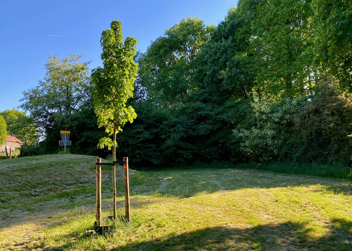 Hole 9