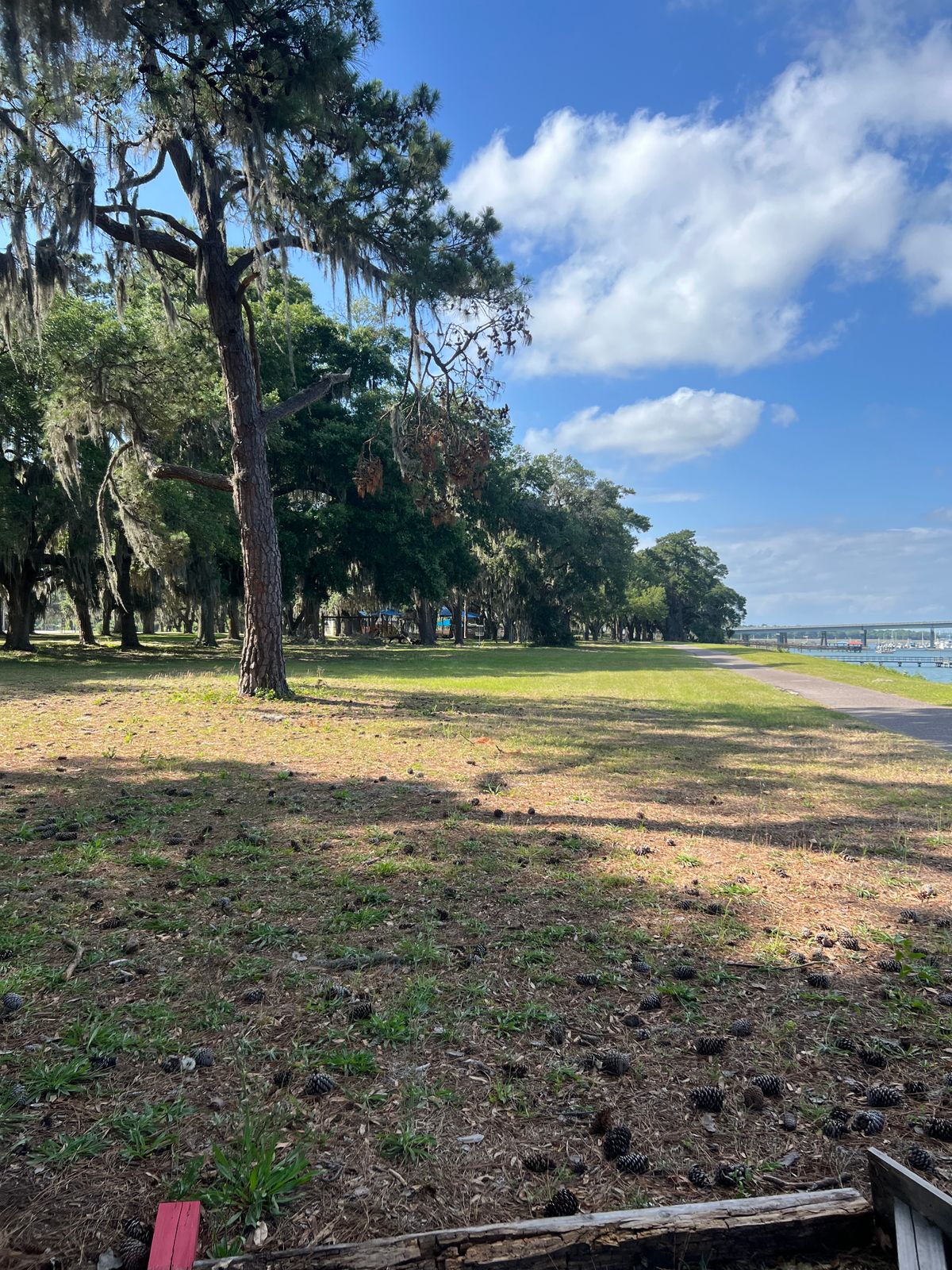 Red 6 tee, basket straight ahead. Path on right OB.