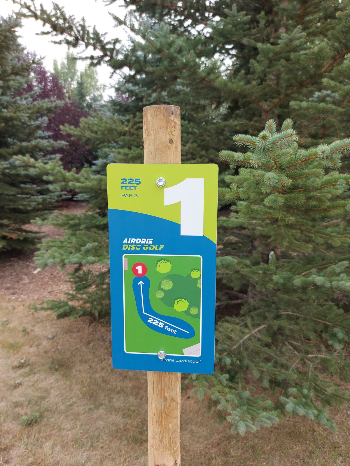 Hard dog leg right.  All tree groves considered OB .