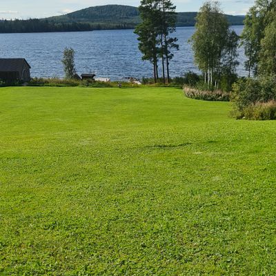 Course photo
