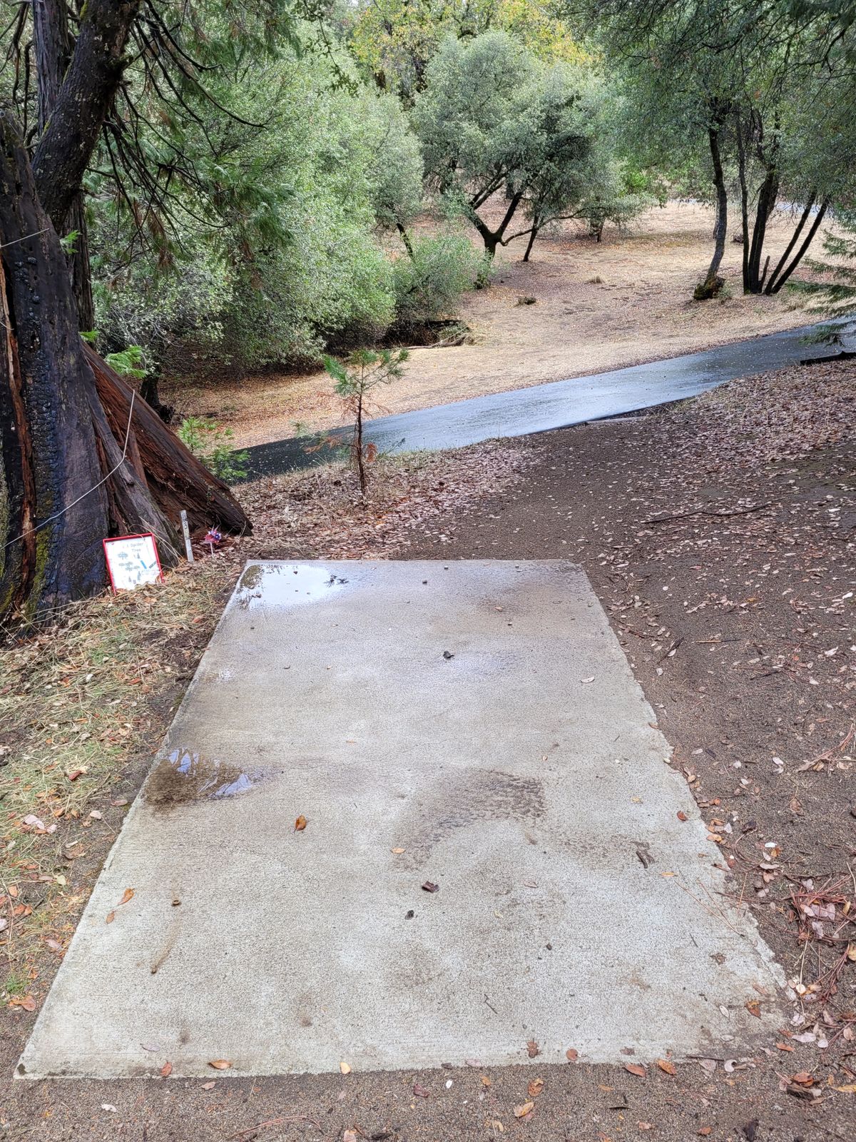 Hole 3 Tee