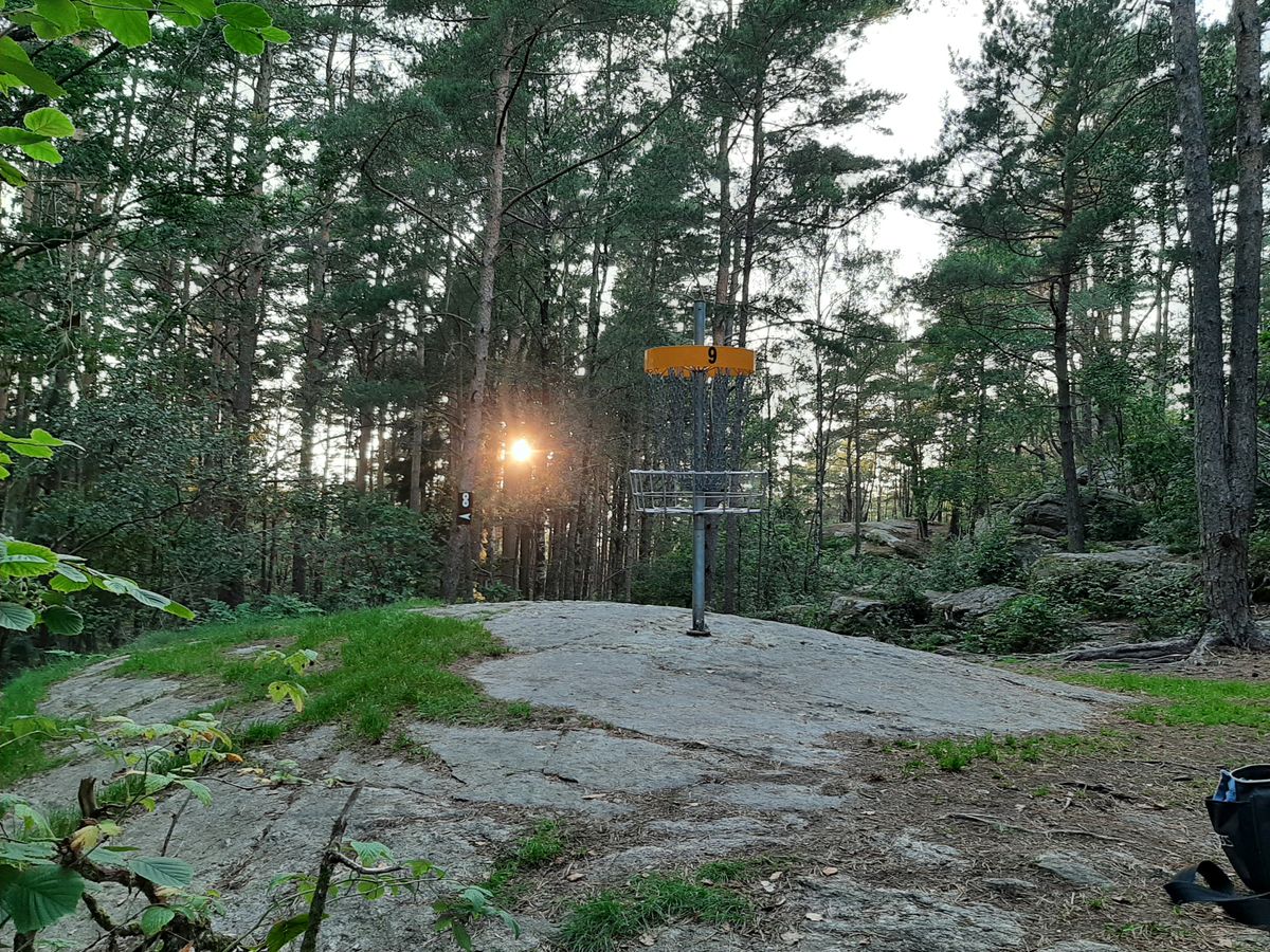 Hål 9 korg