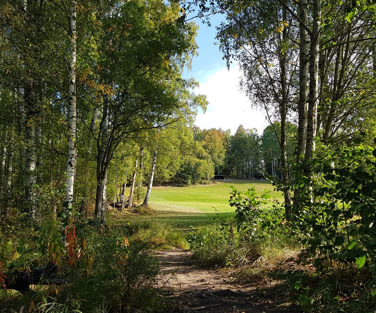 Utkast hål 5