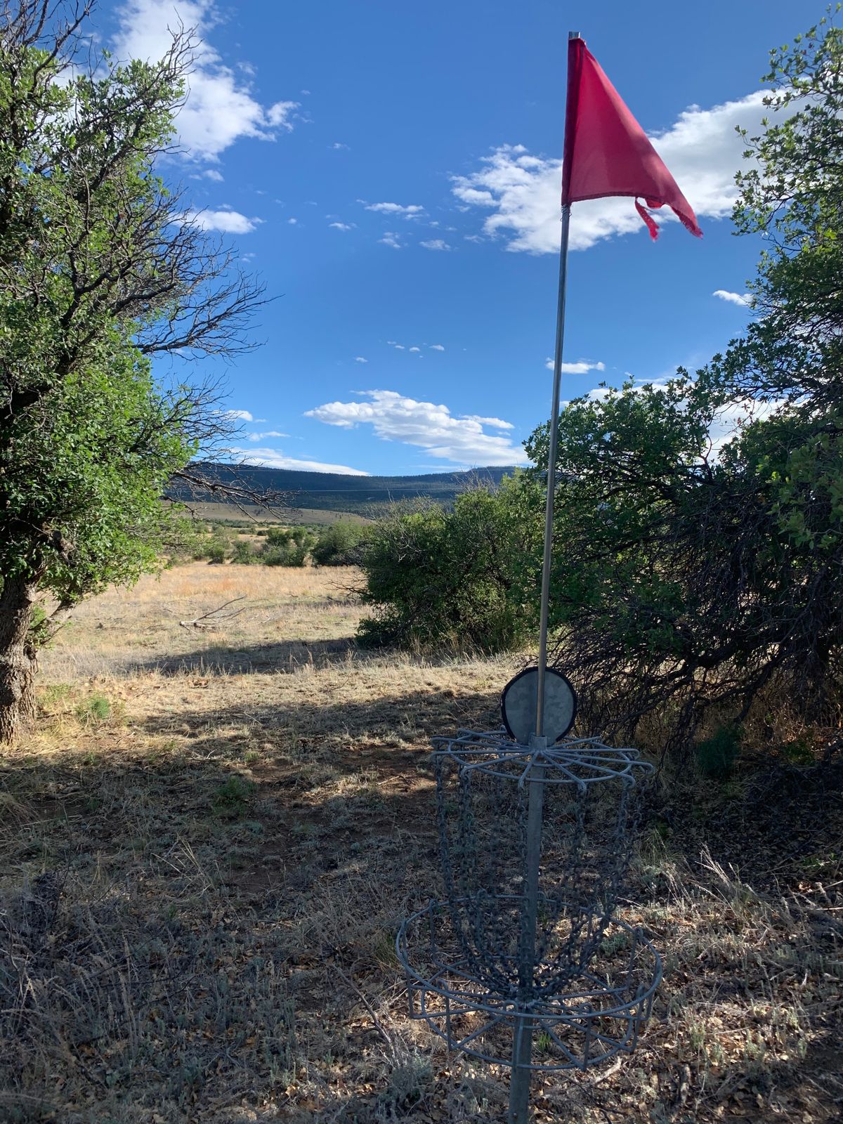 Hole 12 Basket and Uracca in the background.