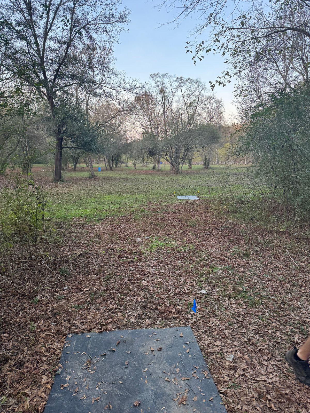 Hole 11 long Teepad