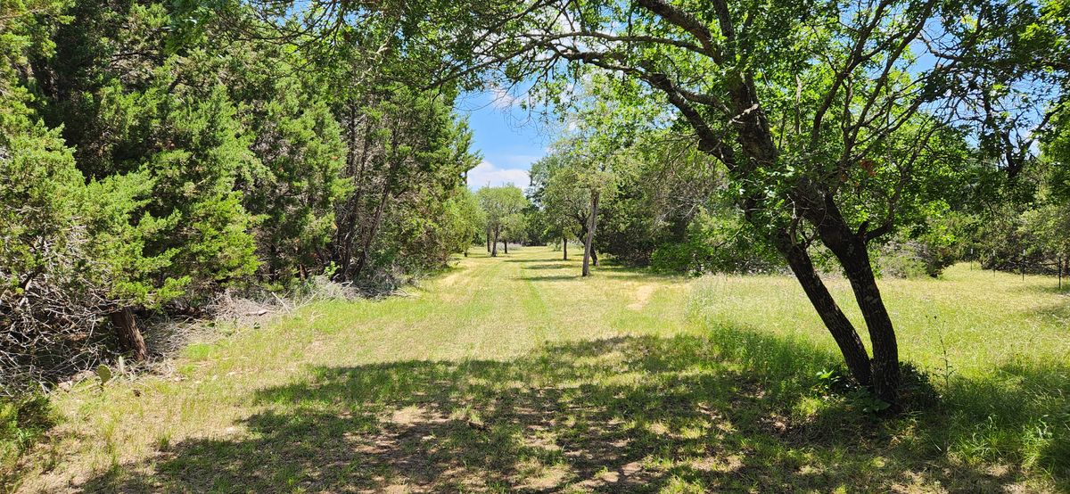 Hole 18 tee
