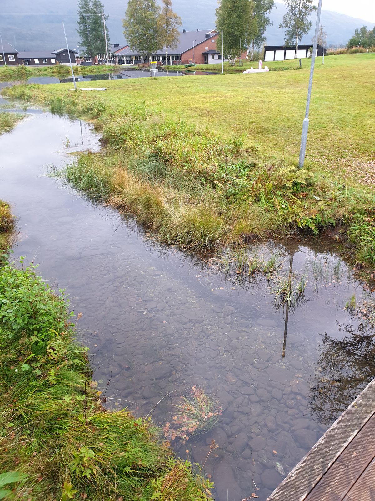 Clear water stream