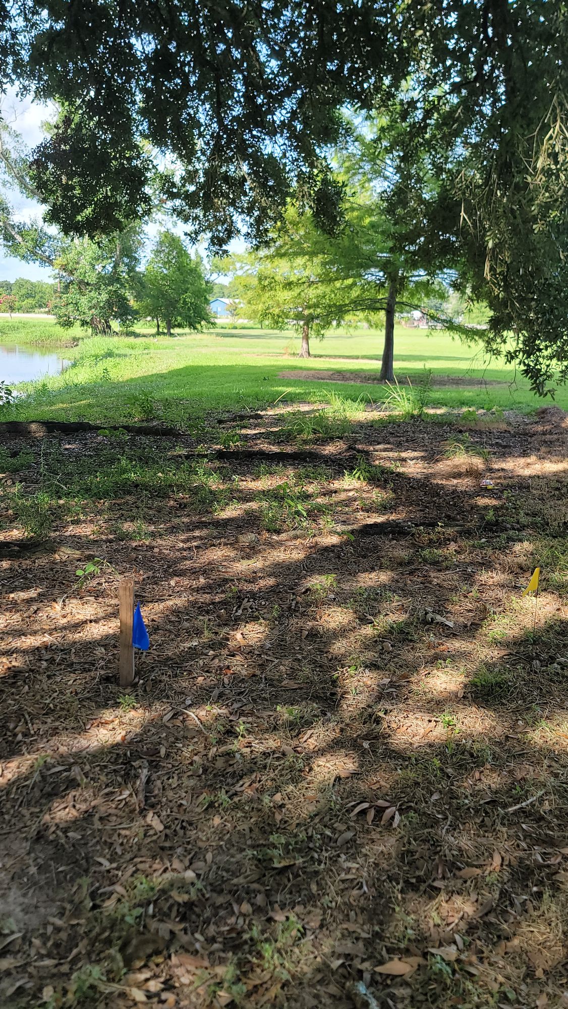 Hole 4. Basket behind double trees straight ahead.