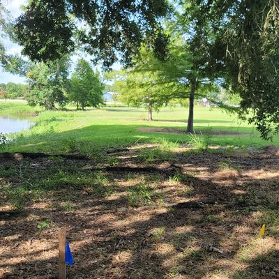 Hole 4. Basket behind double trees straight ahead.