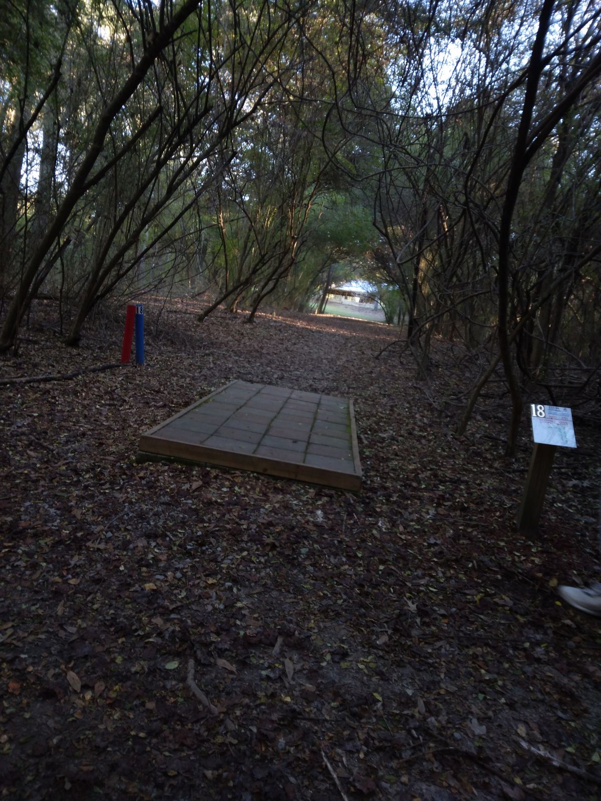 Hole 18, but this is my favorite course!!!