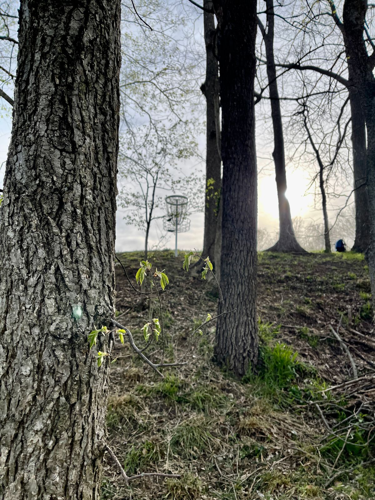 Hole 12 can look scary if you’re a bit aggressive off the tee.