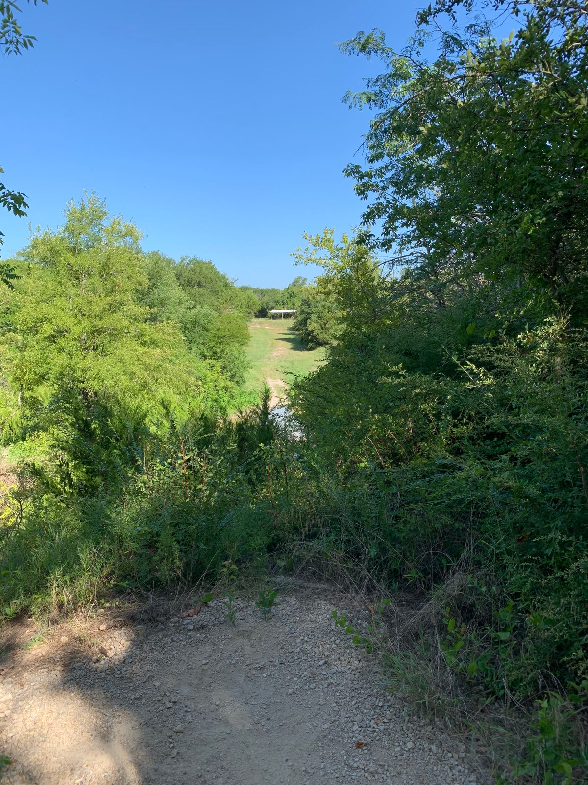 7 elevated tee pad, long uphill fairway, basket at top of hill