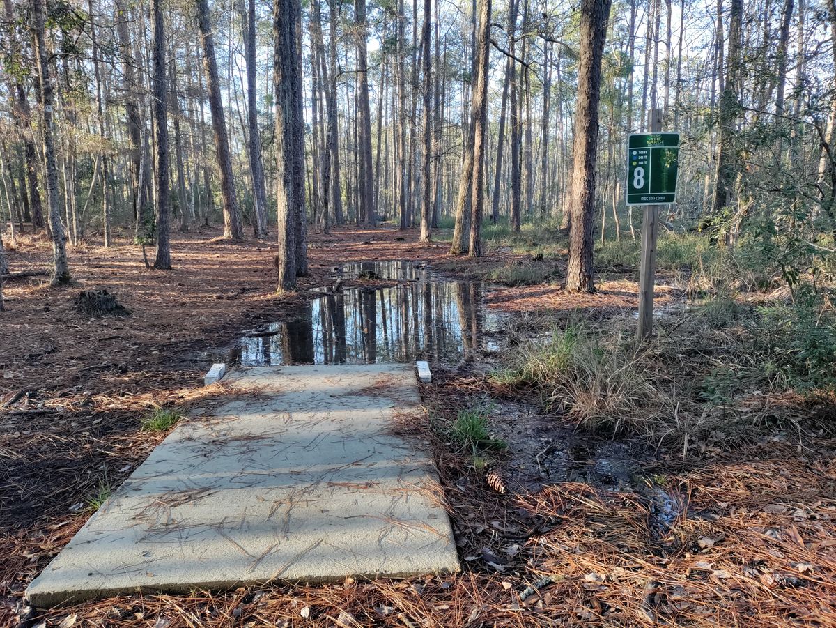 Hole 8