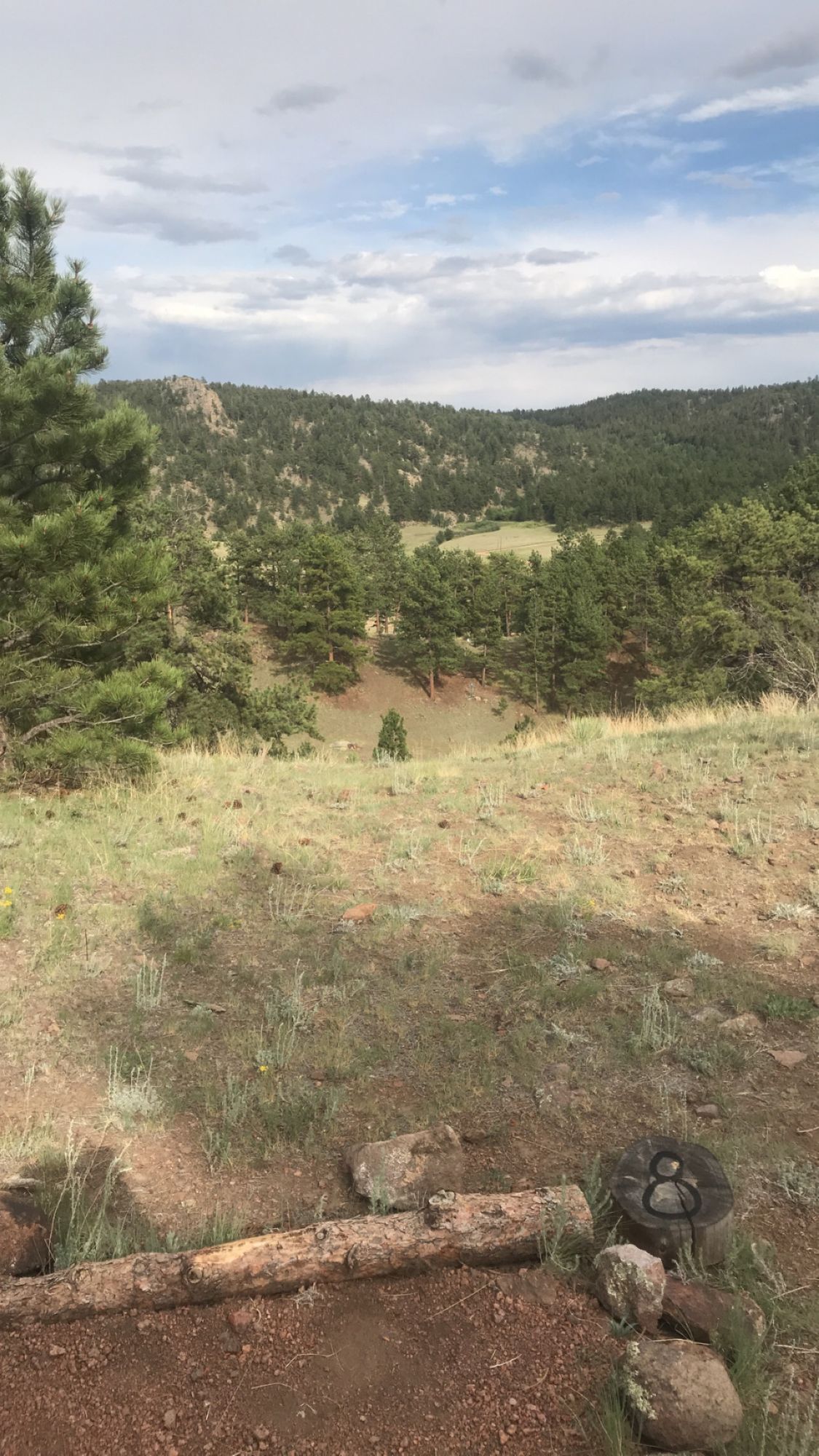 Hole 8 massive elevation change. Amazing course!