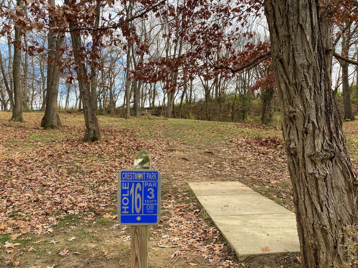 16 tee pad. Basket is up among the trees. Tough position to hit.