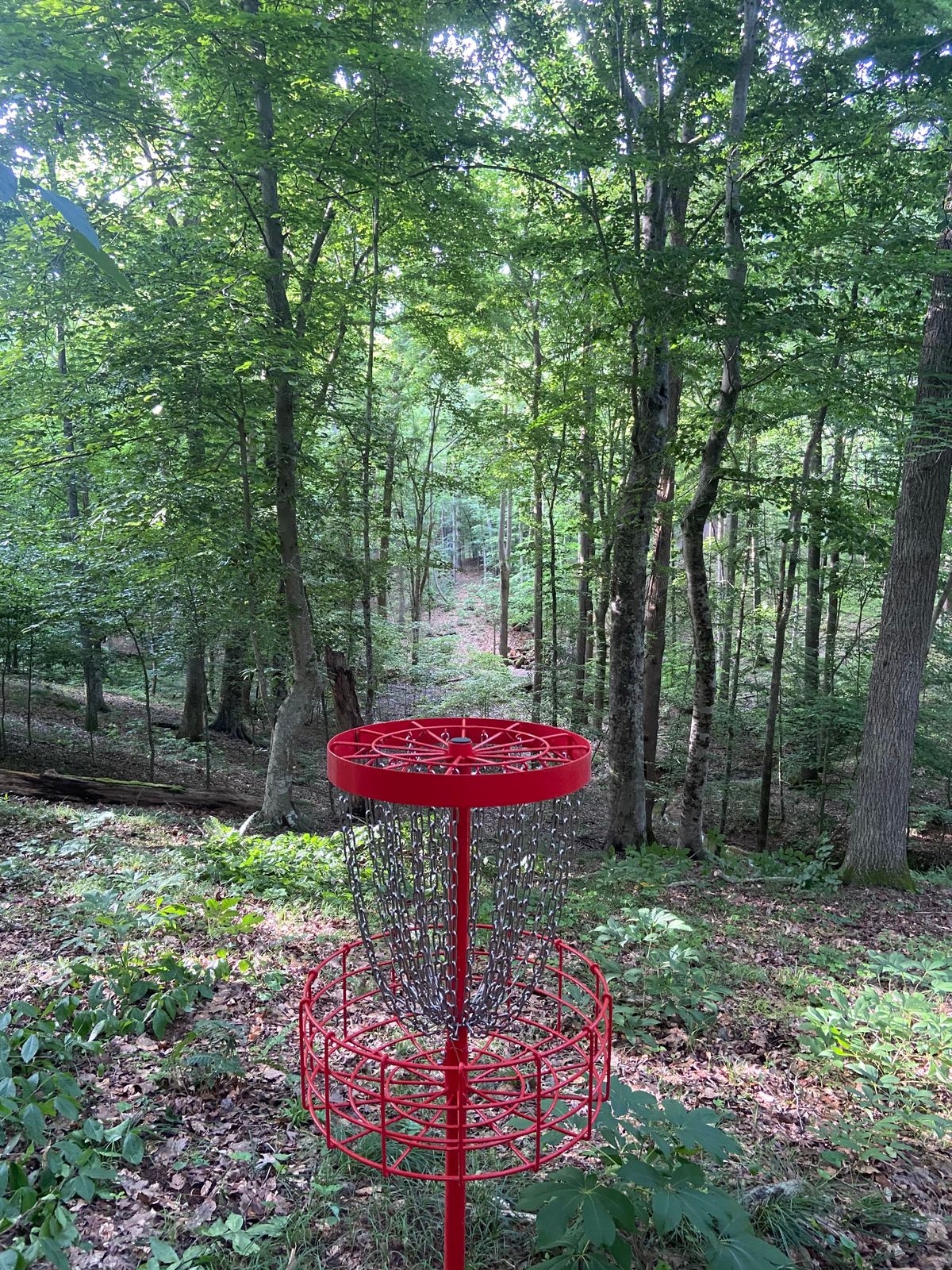 Bomber fairway of Hole 13