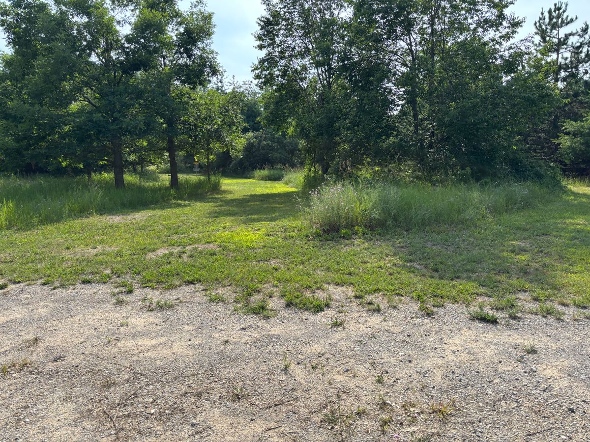 16s fairway dogleg left after service road