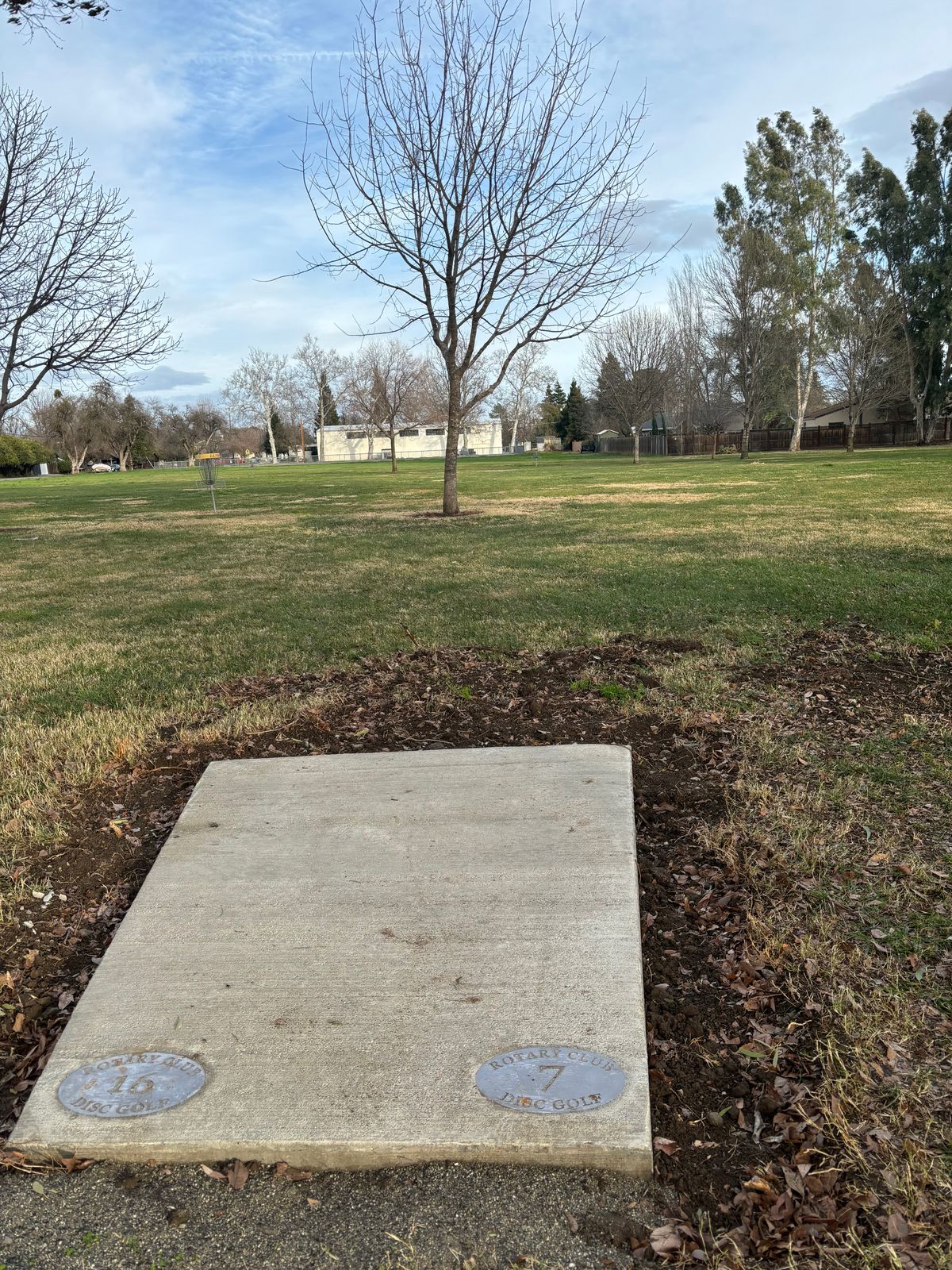 7 tee pad.