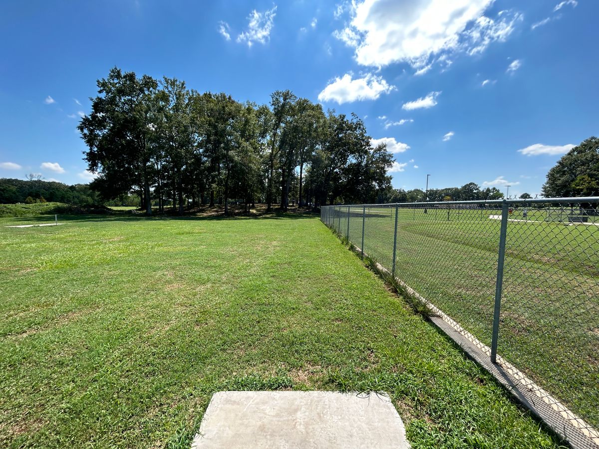 Hole 14 Fairway (White)