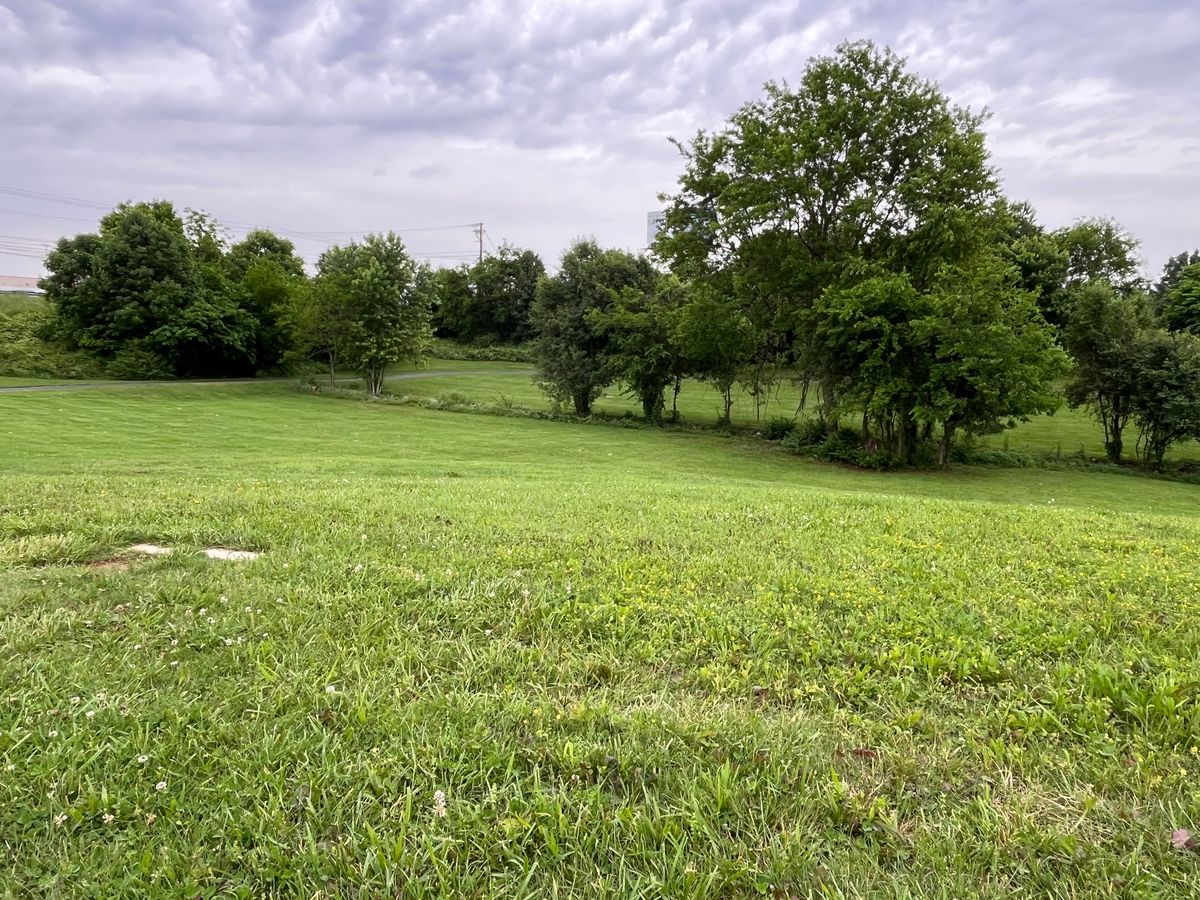 Hole 6