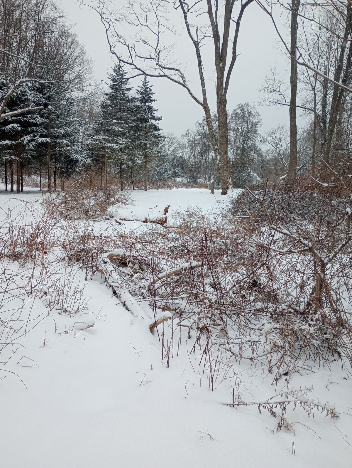 Tee Winter