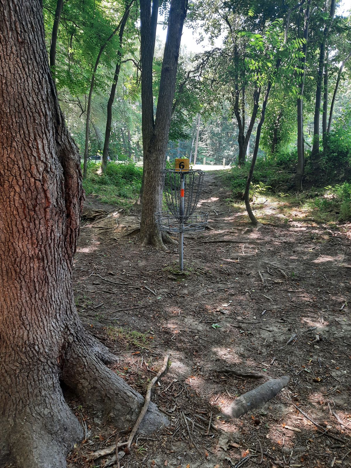 Hole 6 Basket