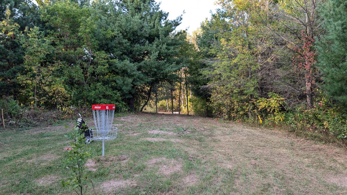 I missed a shot of the 6 tee but this is a look at the basket looking back at the tee. This is the shortest hole on the course but is very good at score separation. We have opened up the canopy around the tee pad to allow for grenade shots, tomahawks or whatever other version of silly vertical sky shots you enjoy. Of course precision through the trees will also be rewarded
