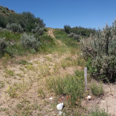 4 (or 5?) up the trail, tee marked by white stake/rock