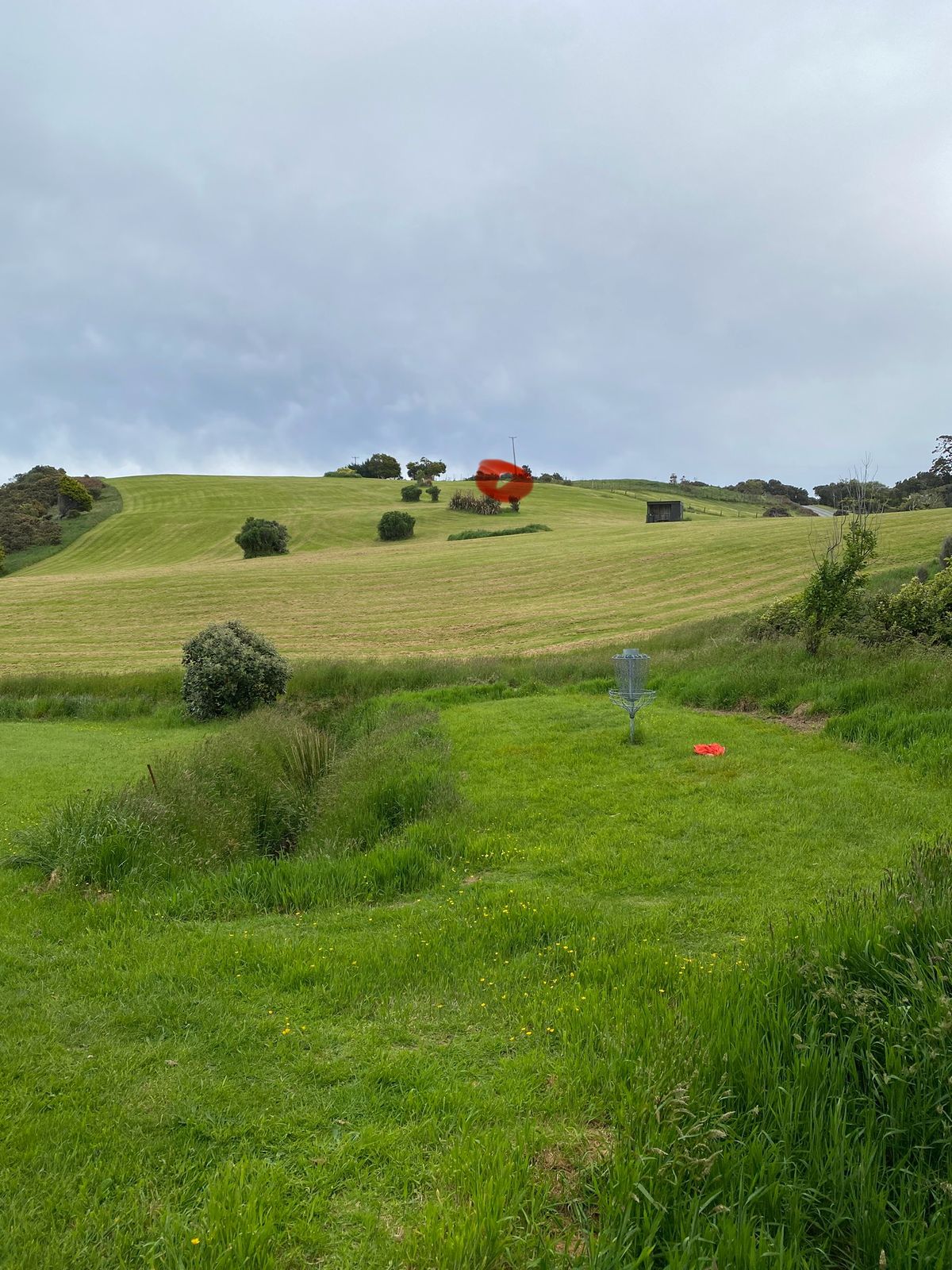 Basket of hole 4. Tee pad circled in red.
