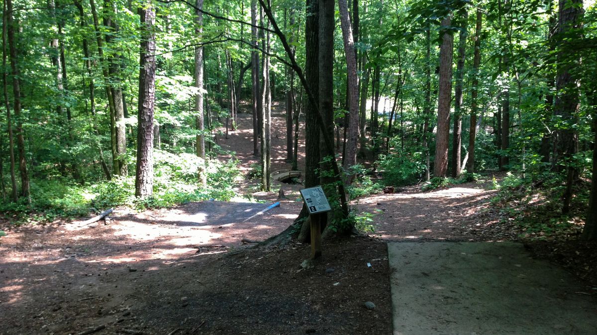 Hole 2 -- long tee