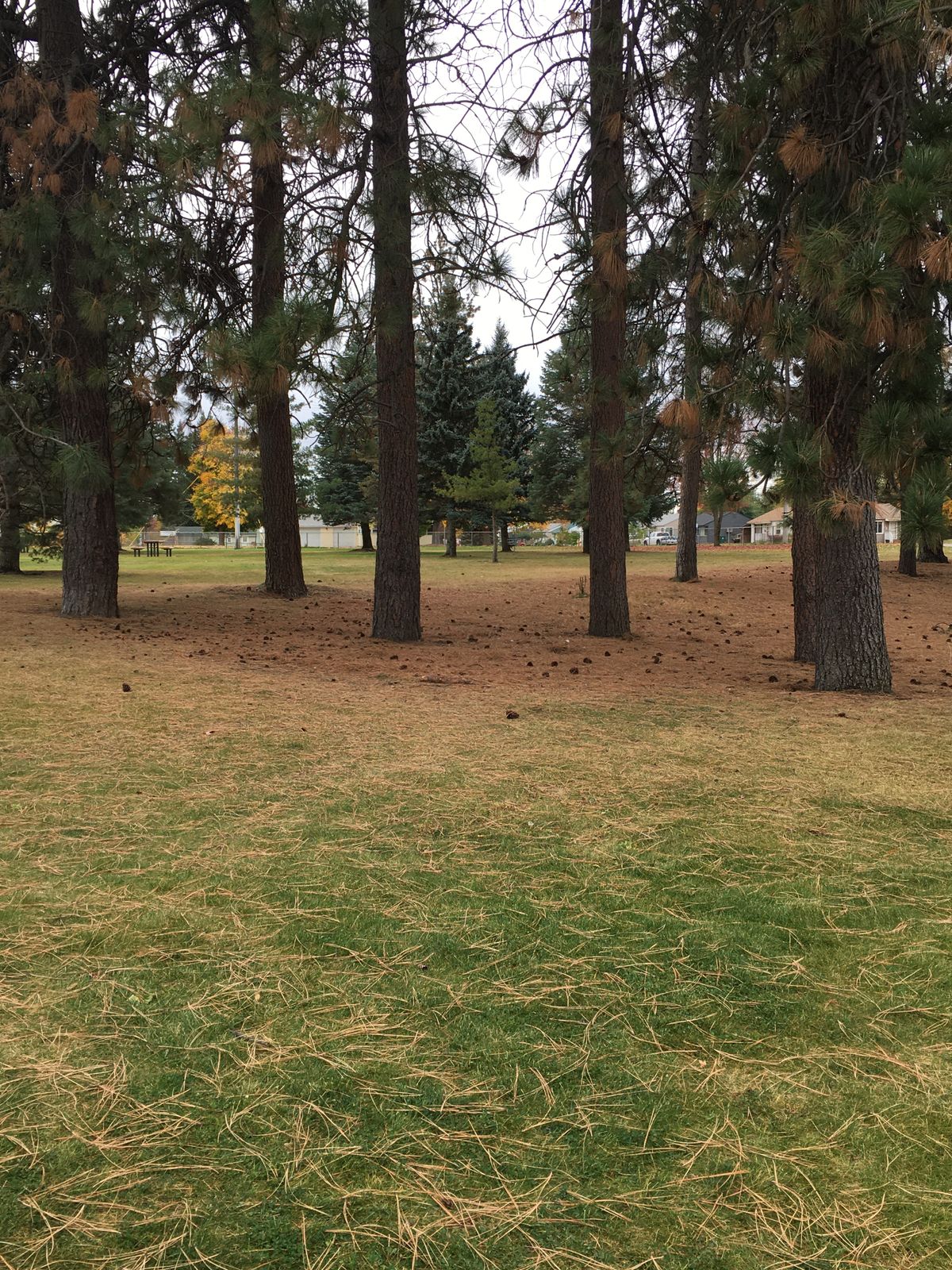View from tee box of hole 5 (9 hole layout)