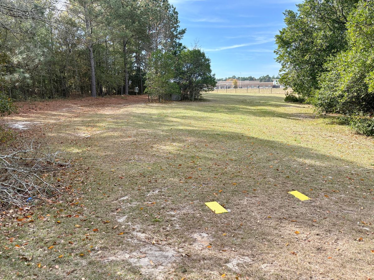 Hole 6 tee