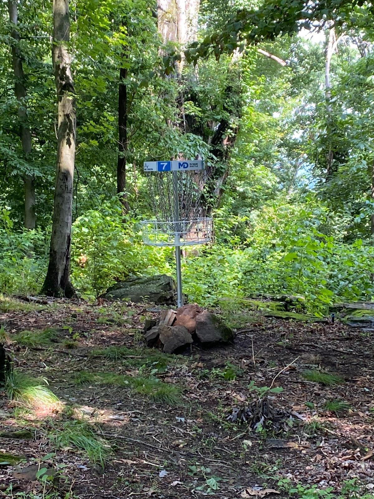 Basket on edge of rocks.  Be careful climbing on rocks.